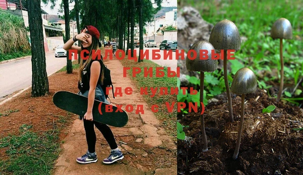 альфа пвп Инта