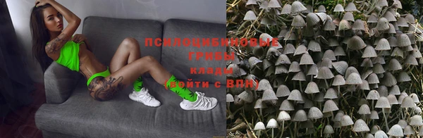 гидропоника Зерноград