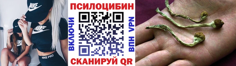 Псилоцибиновые грибы прущие грибы  наркотики  Чулым 